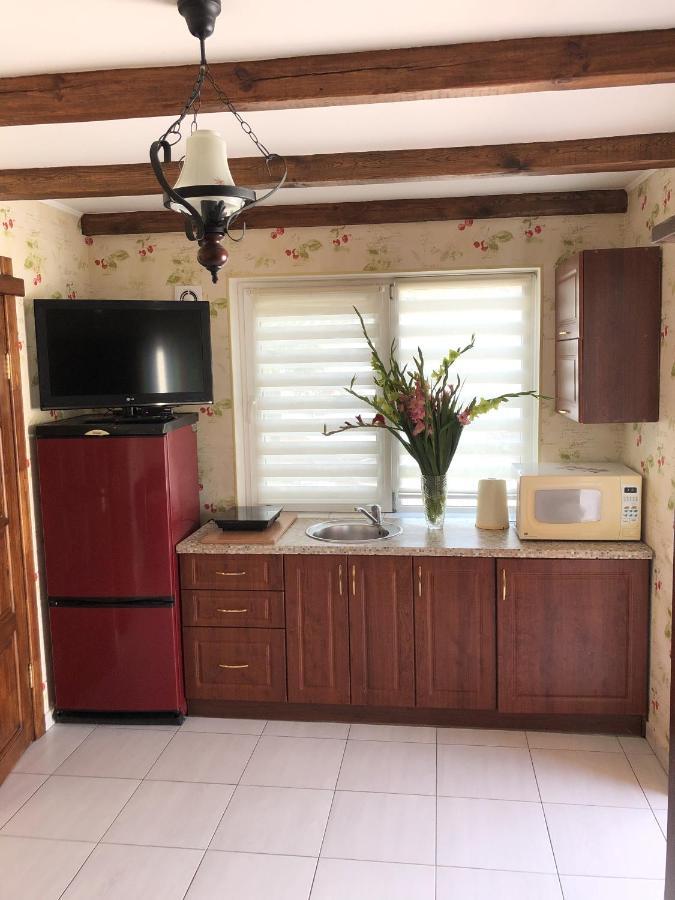 Apartments With Kitchen And Garden Киев Экстерьер фото